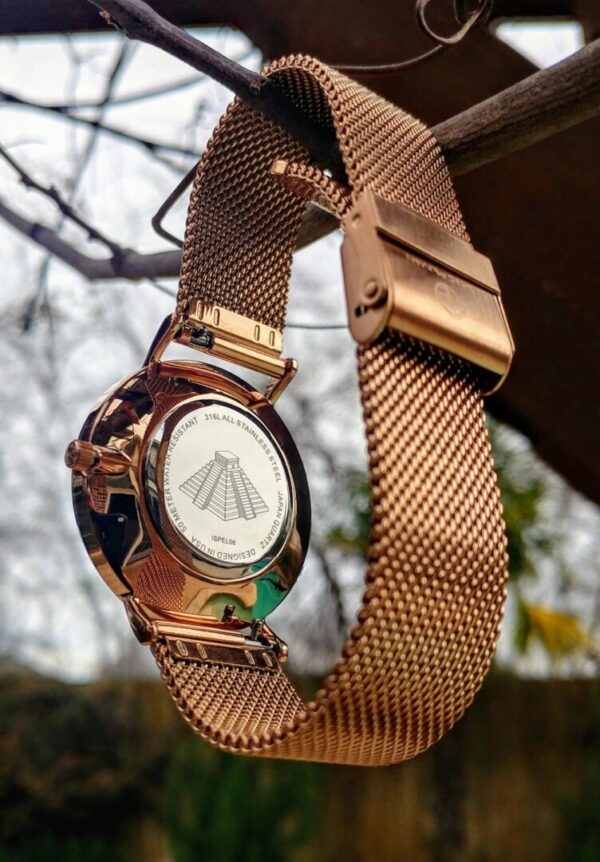 A watch is hanging on the side of a tree.