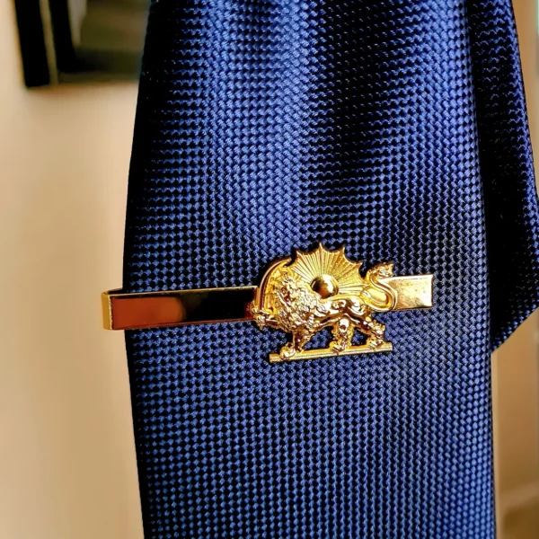 A close up of a tie with a gold plated tie clip