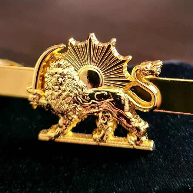 A close up of the lion 's head on a tie clip.