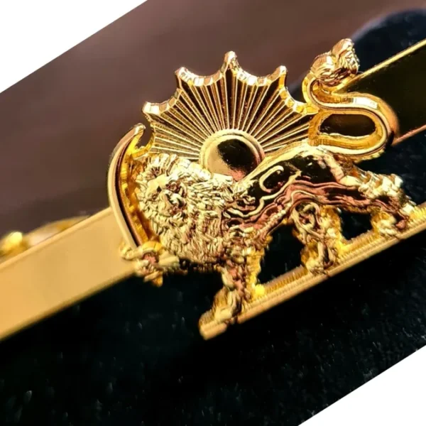 A close up of the golden dragon on a tie clip